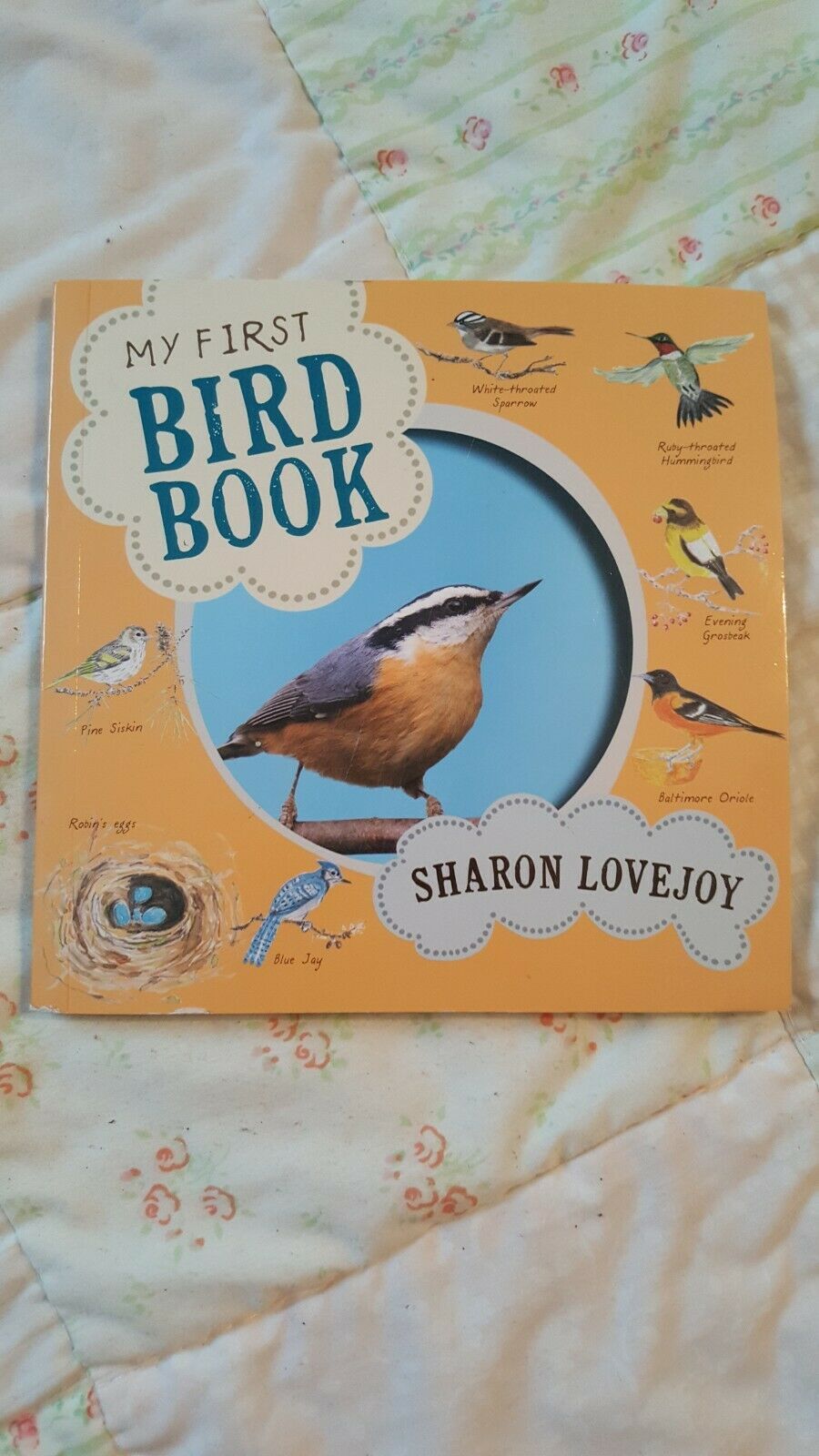 My First Bird Book By Sharon Lovejoy - $4.94