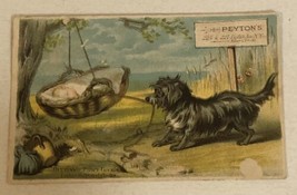 Peyton’s Dog Rocking Baby Calling Card Victorian Trade Card New York VTC1 - $6.92