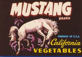 MUSTANG Vintage CA Vegetable Crate Label Horse, Western, Original 5x7 - £2.35 GBP