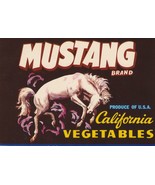 MUSTANG Vintage CA Vegetable Crate Label Horse, Western, Original 5x7 - £2.34 GBP