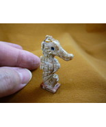 (Y-SEAH-WB-20) tan SEA HORSE seahorse dragon carving stone SOAPSTONE sea... - $163.26 MXN
