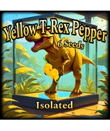 Yellow T-Rex Pepper - 6 Seeds - Isolated - Extremely Hot! - £3.14 GBP