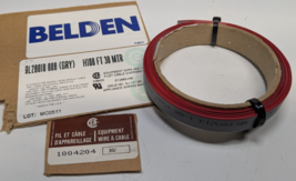 10FT Beldon - FLAT RIBBON CABLE 9L28010-008 - 10 Conductors 28AWG 300VAC - $14.84