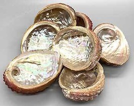 3-4&quot; Abalone Shell Incense Burner - £15.36 GBP