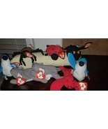 Ty Beanie Babies (Lot of 8) Crab, Blue Jay, Pincher, Spinner Spider, Dol... - £191.79 GBP