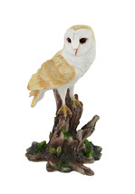 Barn Owl Vigilantly Perched on Tree Stump Statue - £23.36 GBP