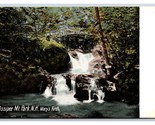 Mary&#39;s Arco Cascata Ossipee Mountain Park Nuovo Hampshire Nh DB Cartolin... - $4.04