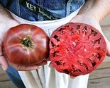 60 Cherokee Purple Tomato Seeds Heirloom Non-Gmo Fresh Fast Shipping - £7.20 GBP