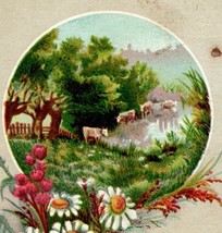 Household Sewing Machine Co. Victorian Trade Card Providence,  RI - $129.73 MXN