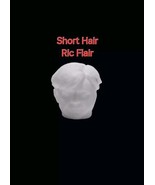 Custom  WWF WWE WCW LJN  Size 3D Printed Head Of Ric Flair  - $20.50 CAD