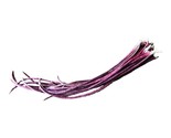 Red Yardlong Bean Seeds Or Asparagus Noodle Bean 10 Seeds Fast Shipping - £7.22 GBP