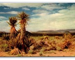 Endless Desert Landscape UNP Chrome Postcard V23 - $2.92