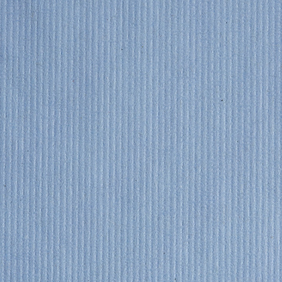 1 Pack 250 PAPER TOWELS 2Ply service station Windshield dairy towel Pacific Blue Item image 4