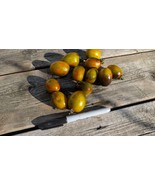 Brad’s Atomic Grape Tomato Seeds – Sweet Heirloom Cherry, 75 Days, Indet... - $79.93 MXN+