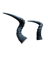 Red Hartebeest Horn, 1 Antelope Horn, Deer Horn Average Size: 19 to 21 i... - €41,84 EUR
