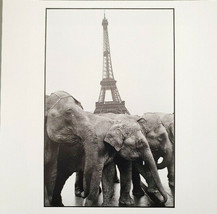 Guy El Querrec - Signed Photo - Magnum Square Print Limited Edition - £297.18 GBP