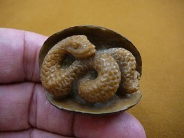 (tb-snake-3) baby tan coiled Snake Tagua NUT palm figurine Bali carving snakes - £38.43 GBP