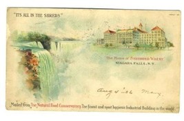 The Home of Shredded Wheat Postcard 1906 Niagara Falls Conservatory - £9.16 GBP