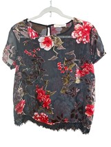 Sheer Velvet Burnout Short Sleeve Floral Top Lace Whimsigoth Fairy Grung... - $19.69