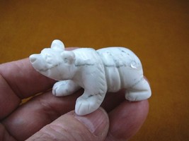 (Y-BEA-WA-700) White Gray POLAR BEAR carving FIGURINE gemstone bears fig... - $17.53
