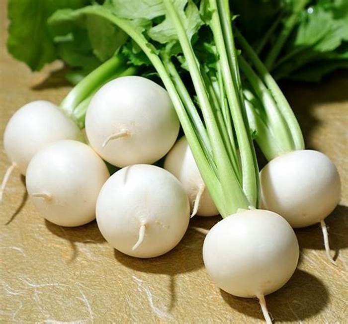 White Cherry Belle Radish Chinese Organic Vegetable, 3g Seeds / Pack
