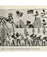 1942 Egypt Tomb of Menna Harvest Time Historical Print Antique Ephemera ... - $387.87 MXN