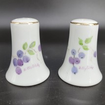 Salt &amp; Paper Shakers Hand Painted Porcelain Signed by Artist Blue Berries Unique - £9.15 GBP