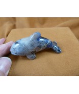 (Y-WHA-KI-726) Blue gray sodalite KILLER WHALE ORCA gemstone figurine wh... - $474.98 MXN