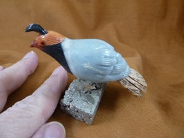 (Y-BIR-QU-18) Quail white red black bird gemstone STONE figurine Peru qu... - $515.88 MXN