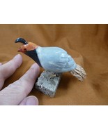 (Y-BIR-QU-18) Quail white red black bird gemstone STONE figurine Peru qu... - $515.88 MXN