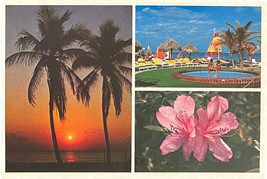 Beautiful Florida, vintage postcard - £9.46 GBP