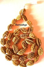 Two Mukhi Rudraksha Mala 33 Pieces Indian Origin Beads - £18.36 GBP