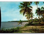 Beach Scene At Guanajibo Near Mayaguez Puerto Rico UNP Chrome Postcard Z10 - £3.07 GBP