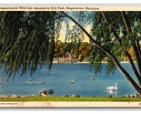 Wildlife at City Park Hagerstown Maryland MD UNP Linen Postcard Y3 - $3.91