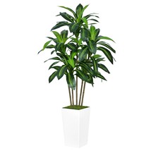 Artificial Dracaena Tree 5Ft - Faux Tree With White Tall Planter - Fake Tropical - £106.49 GBP
