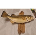 Vintage Taxidermy Largemouth Bass Fish Mounted Trophy 18 inches - £178.37 GBP