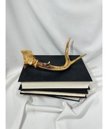 Vintage 2 Point Deer Antler With Clear Coat Lacquer With Hole For Mounting - $26.94 CAD