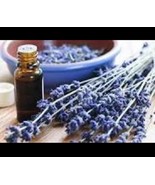 LAVENDER OIL Essential Oils France Lavender Oil  French Lavender Scent - $1,514.70