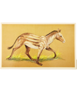 1975 EOHIPPUS Horse Dinosaur Card Vintage Prehistoric Illustration Ephem... - $368.02 MXN