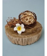 Decorative Dish Petrified Wood Tray Key Stone Fossil Plate Soap Dish - £49.18 GBP