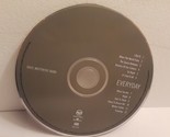 Dave Matthews Band - Everyday (CD, 2001, BMG) Disc Only - $5.22