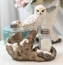 Snow White Owlet Owl On Snowy Branch Glass Salt Pepper Shakers Holder Fi... - $26.99