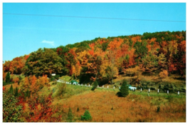 Fall Foliage along Pownal Valley Vermont to Massachusetts Postcard - £3.85 GBP