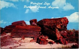 Petrified Logs Forest Arizona Postcard Petley Desert Nature Scene - £10.04 GBP