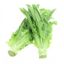 100+ Seeds Chinese Leaf Lettuce Sword Pointed Lettuce | USA Free S/H - £1.74 GBP+