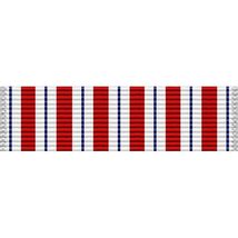 Military Service Army Outstanding Civilian Service Award Medal Vinyl Dec... - $5.87