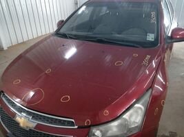 Item image 4