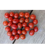 SEED- from Sugar Rush Cherry Tomato- Sweet Prolific Red Beauties- Early ... - $5.36 CAD+