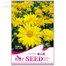 NEW Beautiful Sneezeweed Flower Seeds, 50 seeds, balcony patio potted indoor sea - £4.33 GBP