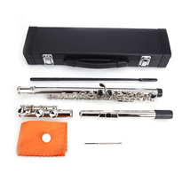 Nickel Plated C Closed Hole Concert Band Flute Silver - £111.90 GBP